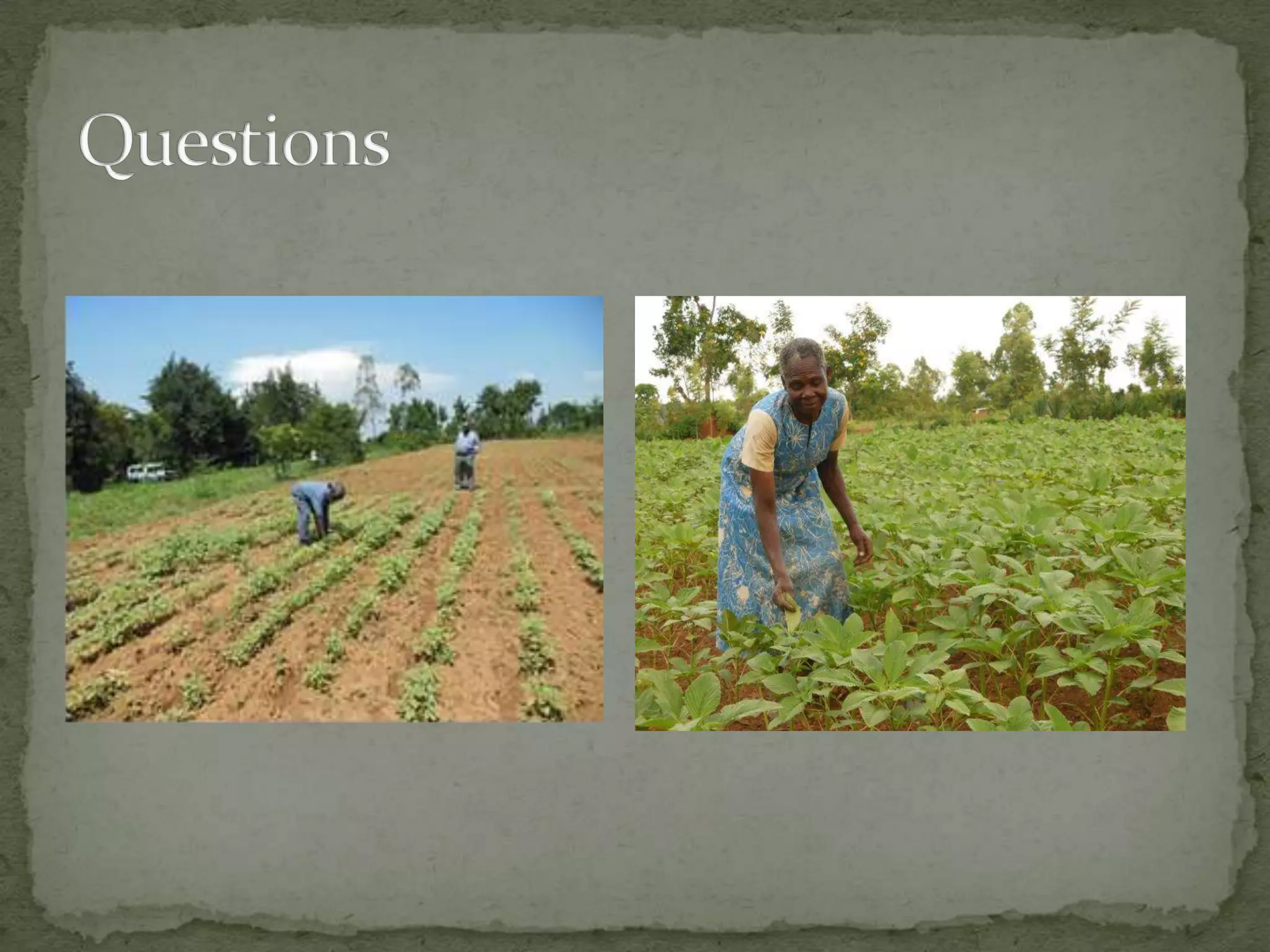 Open 2013:   Promoting Entrepreneurial Development and Sustainable Agribusinesses in Rural Western Kenya