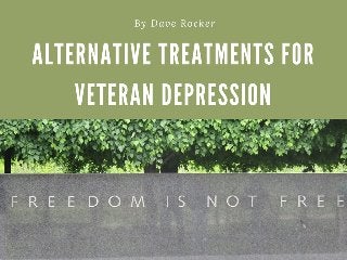 Dave Rocker: Alternative Treatments for Veteran Depression