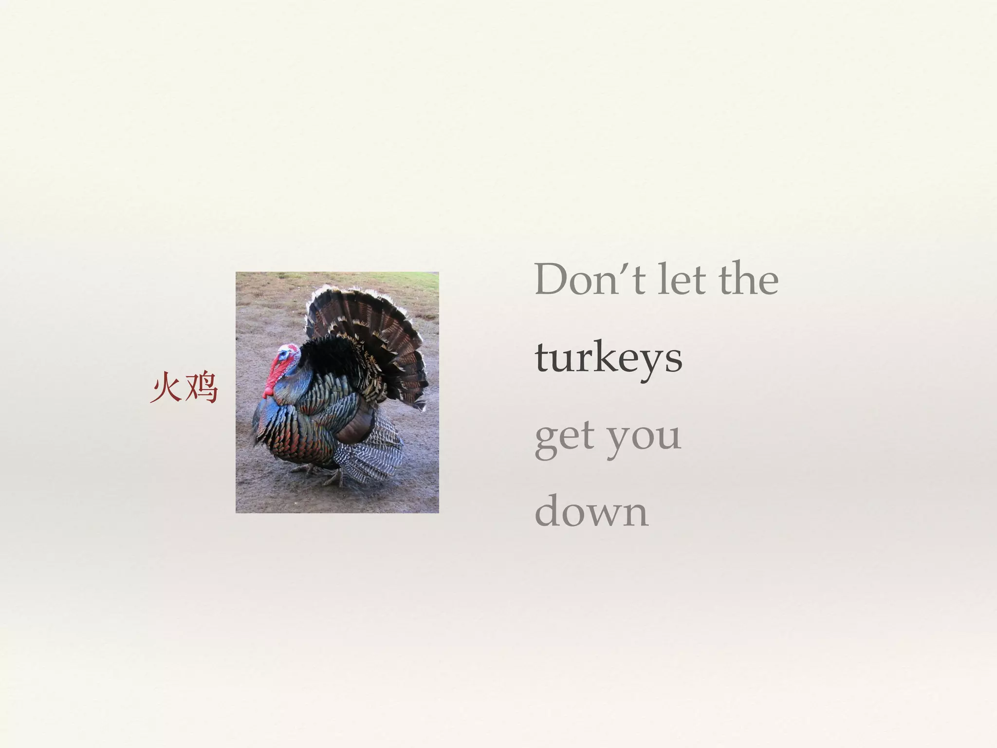 Don’t let the
turkeys
get you
down
⽕火鸡
 