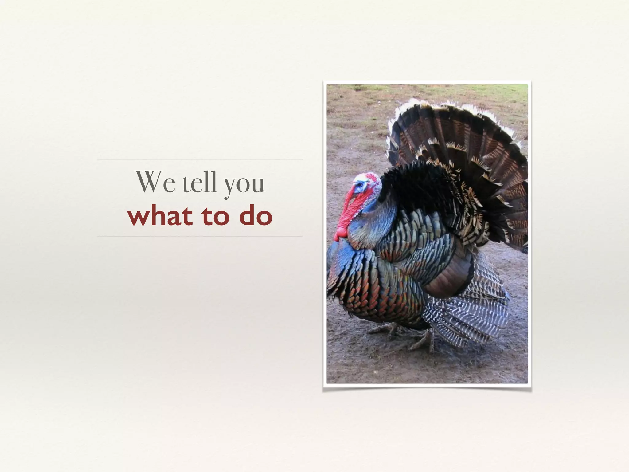 We tell you  
what to do
 