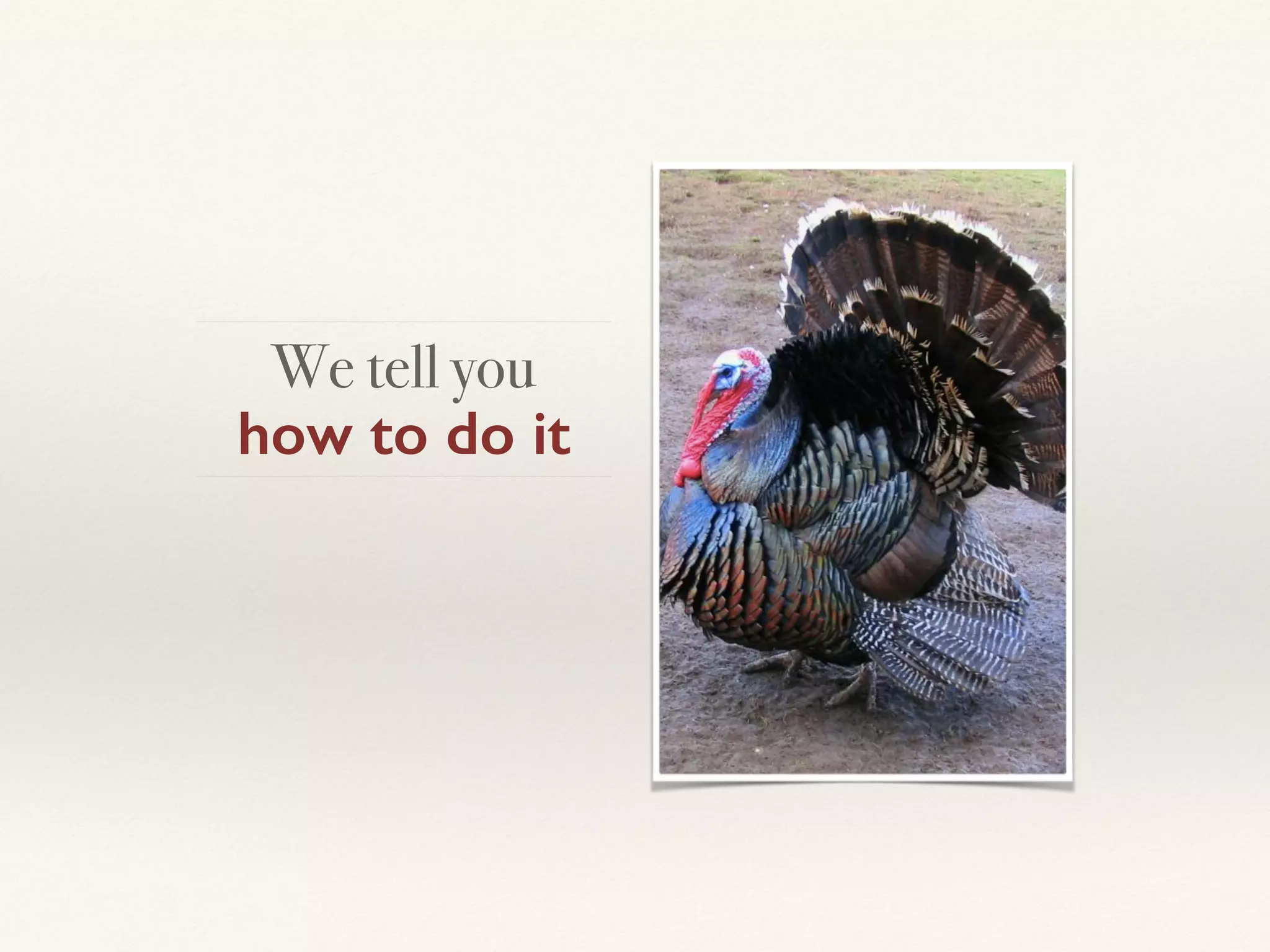 We tell you  
how to do it
 