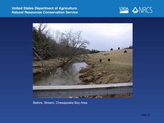 Before, Stream, Chesapeake Bay Area 