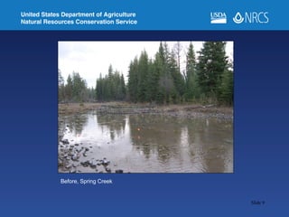 Before, Spring Creek 