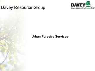 Davey Resource Group Urban Forestry Services 