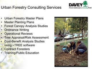 Urban Forestry Consulting Services Urban Forestry Master Plans Master Planting Plans Forest Canopy Analysis Studies Ordinance Writing Operational Reviews Tree Appraisal/Risk Assessment  Cost-Benefit Analysis Studies  using i-TREE software Contract Foresters Training/Public Education 