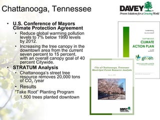 Chattanooga, Tennessee U.S. Conference of Mayors Climate Protection Agreement Reduce global warming pollution levels to 7% below 1990 levels by 2012.  Increasing the tree canopy in the downtown area from the current seven percent to 15 percent, with an overall canopy goal of 40 percent Citywide. STRATUM Analysis Chattanooga’s street tree resource removes 20,000 tons of CO 2  /year Results “ Take Root” Planting Program 1,500 trees planted downtown 