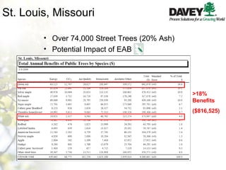 St. Louis, Missouri >18% Benefits ($816,525) Over 74,000 Street Trees (20% Ash) Potential Impact of EAB 