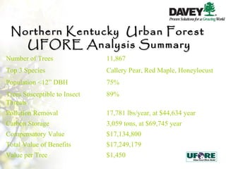 Northern Kentucky  Urban Forest  UFORE Analysis Summary Number of Trees 11,867 Top 3 Species Callery Pear, Red Maple, Honeylocust Population <12” DBH 75% Trees Susceptible to Insect Threats 89% Pollution Removal 17,781 lbs/year, at $44,634 year Carbon Storage 3,059 tons, at $69,745 year Compensatory Value $17,134,800 Total Value of Benefits $17,249,179 Value per Tree $1,450 