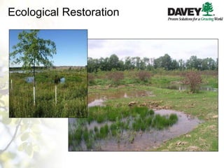 Ecological Restoration 