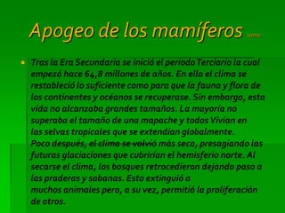 Apogeo de los mamíferos                                 samu



   Tras la Era Secundaria se inició el período Terciario la cual
    empezó hace 64,8 millones de años. En ella el clima se
    restableció lo suficiente como para que la fauna y flora de
    los continentes y océanos se recuperase. Sin embargo, esta
    vida no alcanzaba grandes tamaños. La mayoría no
    superaba el tamaño de una mapache y todos Vivian en
    las selvas tropicales que se extendían globalmente.
    Poco después, el clima se volvió más seco, presagiando las
    futuras glaciaciones que cubrirían el hemisferio norte. Al
    secarse el clima, los bosques retrocedieron dejando paso a
    las praderas y sabanas. Esto extinguió a
    muchos animales pero, a su vez, permitió la proliferación
    de otros.
 