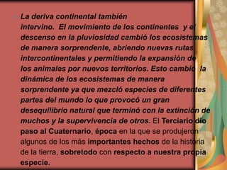    La deriva continental también
    intervino. El movimiento de los continentes y el
    descenso en la pluviosidad cambió los ecosistemas
    de manera sorprendente, abriendo nuevas rutas
    intercontinentales y permitiendo la expansión de
    los animales por nuevos territorios. Esto cambio la
    dinámica de los ecosistemas de manera
    sorprendente ya que mezcló especies de diferentes
    partes del mundo lo que provocó un gran
    desequilibrio natural que terminó con la extinción de
    muchos y la supervivencia de otros. El Terciario dio
    paso al Cuaternario, época en la que se produjeron
    algunos de los más importantes hechos de la historia
    de la tierra, sobretodo con respecto a nuestra propia
    especie.
 