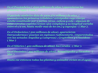  En el Precámbrico ( 1600 millones de años ) aparecieron las
  primeras Algas -( Mar ).

  El periodo cámbrico data de unos 570 millones de años, (
  aparecieron los primeros trilobites ( artrópodos cuyo cuerpo
  estaba constituido por 3 partes, tórax, cabeza y cola ; algunas de
  estas extrañas especies tenían ojos complejos y su longitud variaba
  entre el 1/2 cm. hasta medir mas de 60 cm.) y esponjas - ( Mar ).

  En el Ordovícico ( 500 millones de años), aparecieron
  Ostracodermos ( poseían un espinazo rudimentario, emparentados
  con las actuales Anguilas y Lampreas) ; Graptolites y Crinoideos -
  ( Mar )

  En el Silúrico ( 400 millones de años), los Corales - ( Mar ).

  En el Devónico ( 395 millones de años), Braquiópodos y Escualos - (
  Mar ).

  Hasta ese entonces todas las plantas y animales vivían en el agua.
 