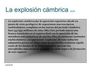La explosión cámbrica                                david




 La explosión cámbrica fue la aparición repentina (desde un
  punto de vista geológico) de organismos macroscópicos
  multicelulares complejos en los inicios del periodo Cámbrico,
  hace 542/530 millones de años (Ma).Este período marca una
  brusca transición en el registro fósil con la aparición de los
  miembros más primitivos de muchos filos de metazoos (animales
  multicelulares). La apariencia "explosiva" de esta radiación
  adaptativa parece ser fruto tanto de un cambio evolutivo rápido
  como de los límites de la tecnología para apreciar los
  microfósiles más antiguos que habrían dado lugar a la formación
  de este registro.




22/11/12
 
