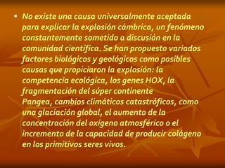  No existe una causa universalmente aceptada
  para explicar la explosión cámbrica, un fenómeno
  constantemente sometido a discusión en la
  comunidad científica. Se han propuesto variados
  factores biológicos y geológicos como posibles
  causas que propiciaron la explosión: la
  competencia ecológica, los genes HOX, la
  fragmentación del súper continente
  Pangea, cambios climáticos catastróficos, como
  una glaciación global, el aumento de la
  concentración del oxígeno atmosférico o el
  incremento de la capacidad de producir colágeno
  en los primitivos seres vivos.
 