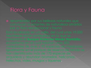  renombrado por sus bellezas naturales que
convocan a amantes de naturaleza atraídos
por su flora excepcional y fauna.
Está localizado en un valle, del cual unas 19,000
hectáreas están protegidas en lo que se
denomina el Bosque Protector Mindo Nambillo,
ecosistema en el cual habitan unas 500
variedades de aves y 90 especies de mariposas.
Igualmente en el parque de reserva de Mindo se
han identificado más de 170 especie de
orquideas y abundan bromelias, heliconias,
helechos, vides, musgos y liquenes.
 