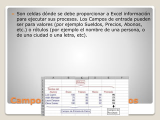 Campos de entrada de datos
 Son celdas dónde se debe proporcionar a Excel información
para ejecutar sus procesos. Los Campos de entrada pueden
ser para valores (por ejemplo Sueldos, Precios, Abonos,
etc.) o rótulos (por ejemplo el nombre de una persona, o
de una ciudad o una letra, etc).
 