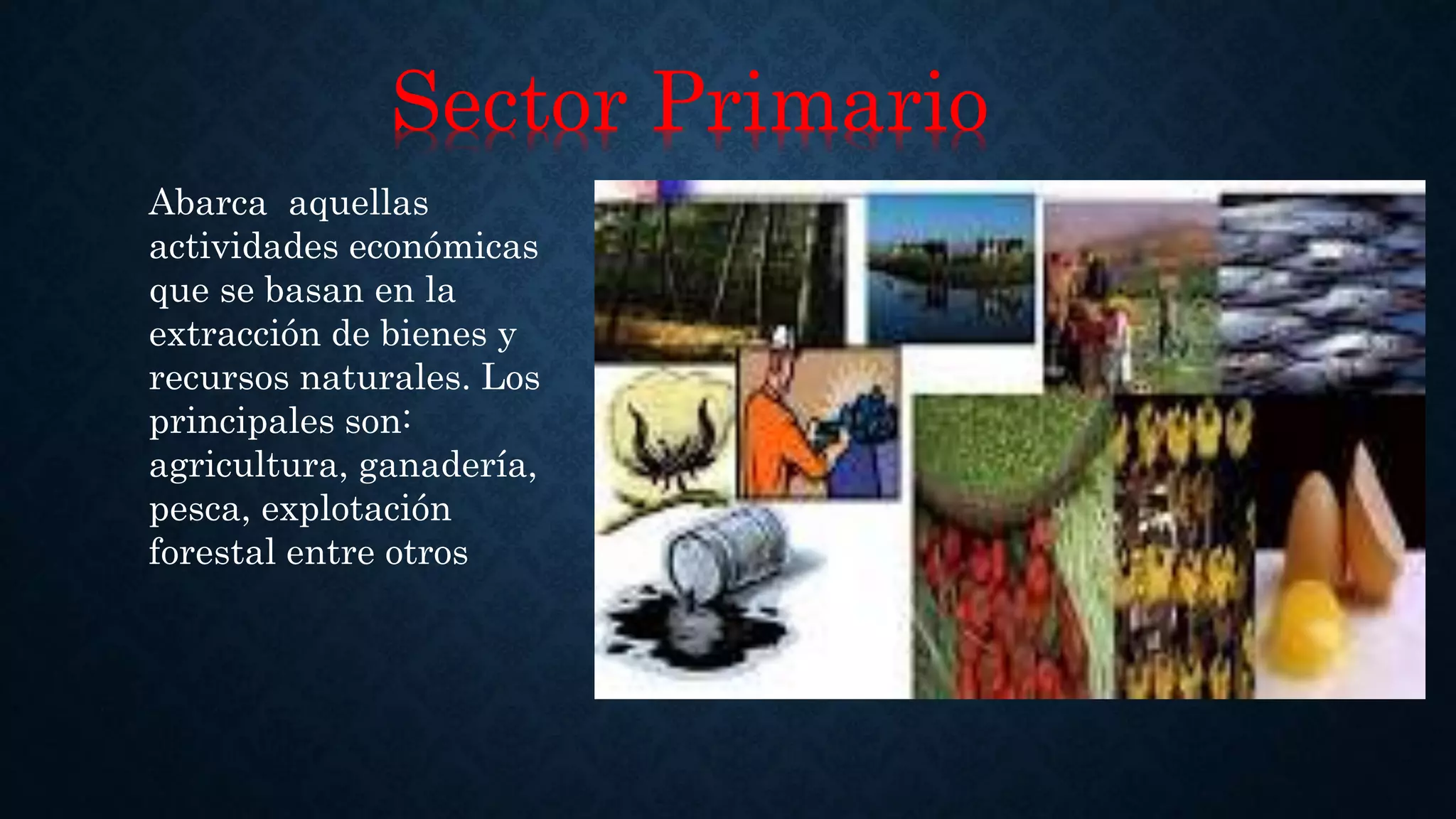 Sector Primario
Abarca aquellas
actividades económicas
que se basan en la
extracción de bienes y
recursos naturales. Los
principales son:
agricultura, ganadería,
pesca, explotación
forestal entre otros
 