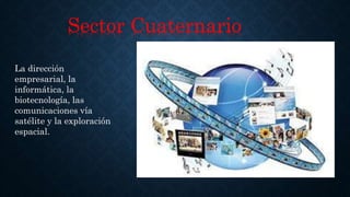 Sector Cuaternario
La dirección
empresarial, la
informática, la
biotecnología, las
comunicaciones vía
satélite y la exploración
espacial.
 