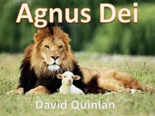 David Quinlan - Agnus Dei Versão 2