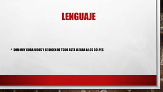 LENGUAJE
• SON MUY CORAJUDOS Y SE DICEN DE TODO ASTA LLEGAR A LOS GOLPES
 