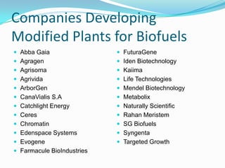 Companies Developing Modified Plants for Biofuels<br />Abba Gaia<br />Agragen<br />Agrisoma<br />Agrivida <br />ArborGen <...