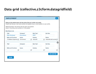 Data grid (collective.z3cform.datagridfield)
 