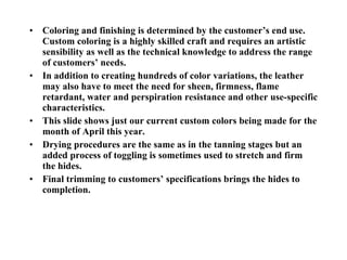 Coloring and finishing is determined by the customer’s end use. Custom coloring is a highly skilled craft and requires an artistic sensibility as well as the technical knowledge to address the range of customers’ needs. In addition to creating hundreds of color variations, the leather may also have to meet the need for sheen, firmness, flame retardant, water and perspiration resistance and other use-specific characteristics.  This slide shows just our current custom colors being made for the month of April this year. Drying procedures are the same as in the tanning stages but an added process of toggling is sometimes used to stretch and firm the hides.  Final trimming to customers’ specifications brings the hides to completion. 