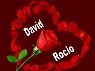 David Rocio 