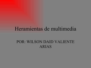 Heramientas de multimedia POR: WILSON DAID VALIENTE ARIAS 