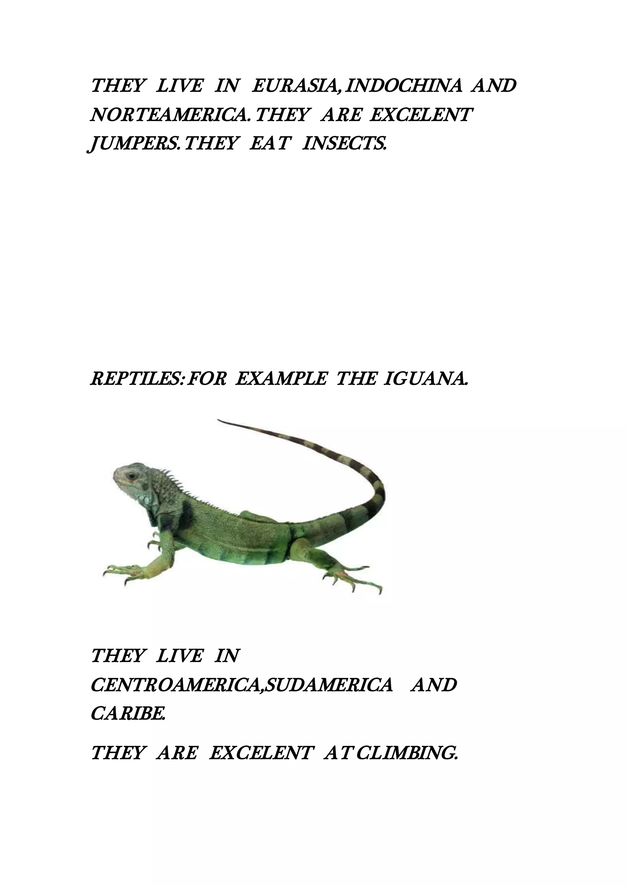 THEY LIVE IN EURASIA, INDOCHINA AND
NORTEAMERICA. THEY ARE EXCELENT
JUMPERS.THEY EAT INSECTS.
REPTILES: FOR EXAMPLE THE IGUANA.
THEY LIVE IN
CENTROAMERICA,SUDAMERICA AND
CARIBE.
THEY ARE EXCELENT AT CLIMBING.