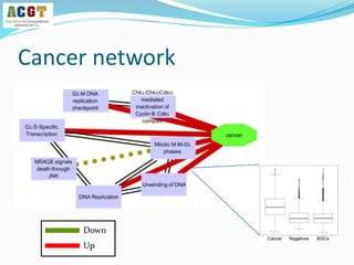 Cancer network
Down
Up
 