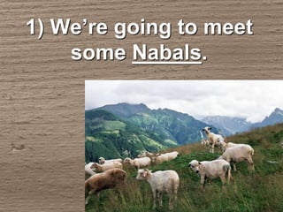 1) We’re going to meet
some Nabals.
 