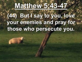 Matthew 5:43-47
(44) But I say to you, love
your enemies and pray for
those who persecute you.
 