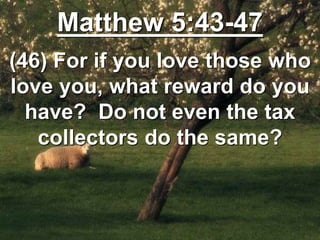 Matthew 5:43-47
(46) For if you love those who
love you, what reward do you
have? Do not even the tax
collectors do the same?
 