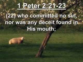 1 Peter 2:21-23
(22) who committed no sin,
nor was any deceit found in
His mouth;
 