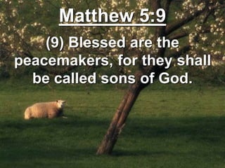 Matthew 5:9
(9) Blessed are the
peacemakers, for they shall
be called sons of God.
 