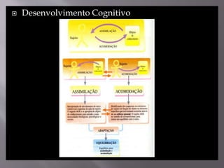  Desenvolvimento Cognitivo
 
