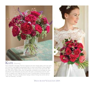 David Austin®
Collection 2015
Kate is beautiful in all stages. The form, fragrance and color change subtly as the rose opens
and matures. Long, elegant buds gradually open to reveal wavy petals of classic elegance,
forming a deep cupped shape. The mature flower is very much in the style of the 18th
and 19th century Gallica roses, which are generally considered to be amongst the most
beautiful for rose enthusiasts over the years. The color is extraordinary and rich, with
tones of raspberry and magenta. Kate has a look of startling beauty, attracting attention
in any design. The scent is equally lovely, having a medium strong rose aroma, with an
“after rain freshness”. 65 Petals
Kate (Auschris)
 