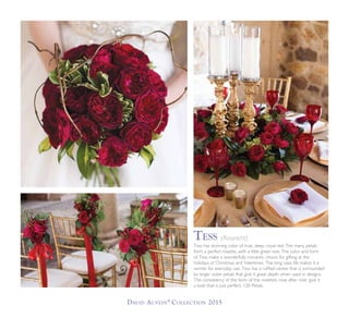 David Austin®
Collection 2015
Tess has stunning color of true, deep, royal red. The many petals
form a perfect rosette, with a little green eye. The color and form
of Tess make a wonderfully romantic choice for gifting at the
holidays of Christmas and Valentines. The long vase life makes it a
winner for everyday use. Tess has a ruffled center that is surrounded
by larger outer petals that give it great depth when used in designs.
The consistency of the form of the rosettes, rose after rose, give it
a look that is just perfect. 120 Petals.
Tess (Ausyacht)
 