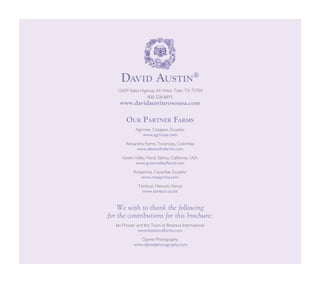 15059 State Highway 64 West, Tyler, TX 75704
800-328-8893
www.davidaustinrosesusa.com
Our Partner Farms
Agrirose, Cotapaxi, Ecuador                                        
www.agrirose.com
Alexandra Farms, Tocancipa, Colombia                  
www.alexandrafarms.com
Green Valley Floral, Salinas, California, USA         
www.greenvalleyfloral.com
Rosaprima, Cayambe, Ecuador                                  
www.rosaprima.com
Tambuzi, Nanyuki, Kenya                                             
www.tambuzi.co.ke
 
We wish to thank the following
for the contributions for this brochure:
Ian Prosser and the Team at Botanica International          
www.botanicaflorist.com
Djamel Photography                                                                     
 www.djamelphotography.com
DAV I D A U ST I N
®
1
5
David Austin®
 
