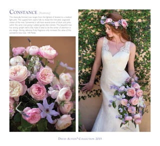 David Austin®
Collection 2015
This classically formed rose ranges from the lightest of blushes to a medium
light pink. The...