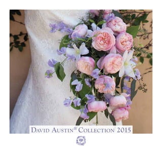David Austin®
Collection 2015
®
1
5
 