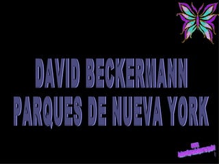 DAVID BECKERMANN PARQUES DE NUEVA YORK 