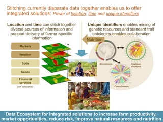 Demand-Driven innovation in agriculture: Creating economic opportunity for smallholder farmers and nutritional security for consumers