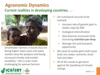 Demand-Driven innovation in agriculture: Creating economic opportunity for smallholder farmers and nutritional security for consumers