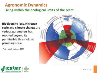Demand-Driven innovation in agriculture: Creating economic opportunity for smallholder farmers and nutritional security for consumers