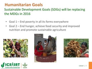 Demand-Driven innovation in agriculture: Creating economic opportunity for smallholder farmers and nutritional security for consumers