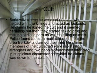 Cult Berkowitz claims he was part of a cult who helped with the killings and acted as lookouts. He claims he joined the cult and it seemed harmless but then they started taking drug and making sadistic porn as well as killing animals. Police found a dozen mutilated dogs near the area Berkowitz claimed they met. He claims members of the cult acted were rapists and stranglers and two people he accused later died in suspicious circumstances which he claims was down to the cult.  