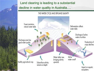 Land clearing is leading to a substantial decline in water quality in Australia….