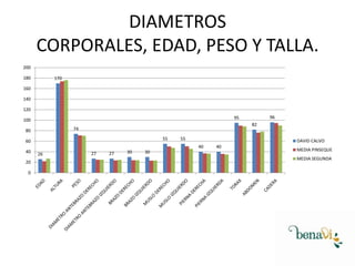 DIAMETROS
CORPORALES, EDAD, PESO Y TALLA.
200
180
170
160
140
120
82
74
80
55
60
55
DAVID CALVO
40
40
20
0
96
95
100
26
27
27
30
30
40
MEDIA PINSEQUE
MEDIA SEGUNDA